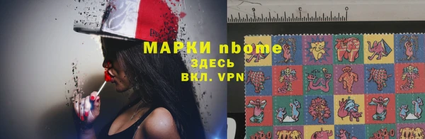 мдпв Дмитров