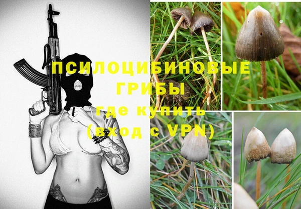 мдпв Дмитров