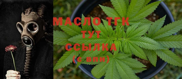 мдпв Дмитров