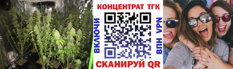 Купить  Болгар  Дистиллят ТГК жижа 