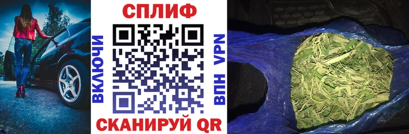 Купить закладки Болгар Бошки марихуана гибрид